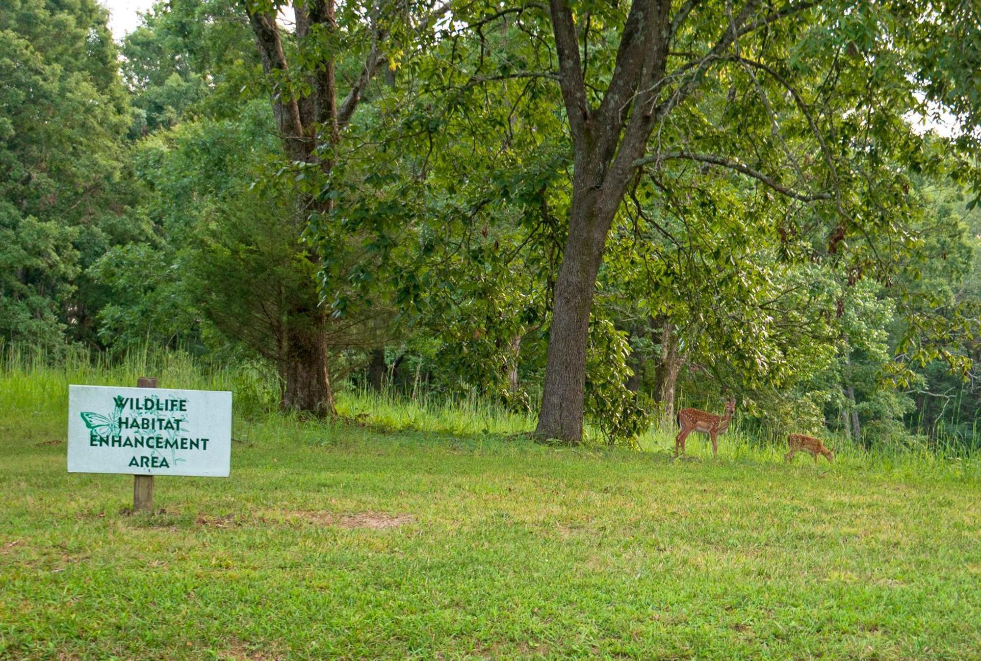 Barren River Lake State Resort Park Lucas Esterno foto